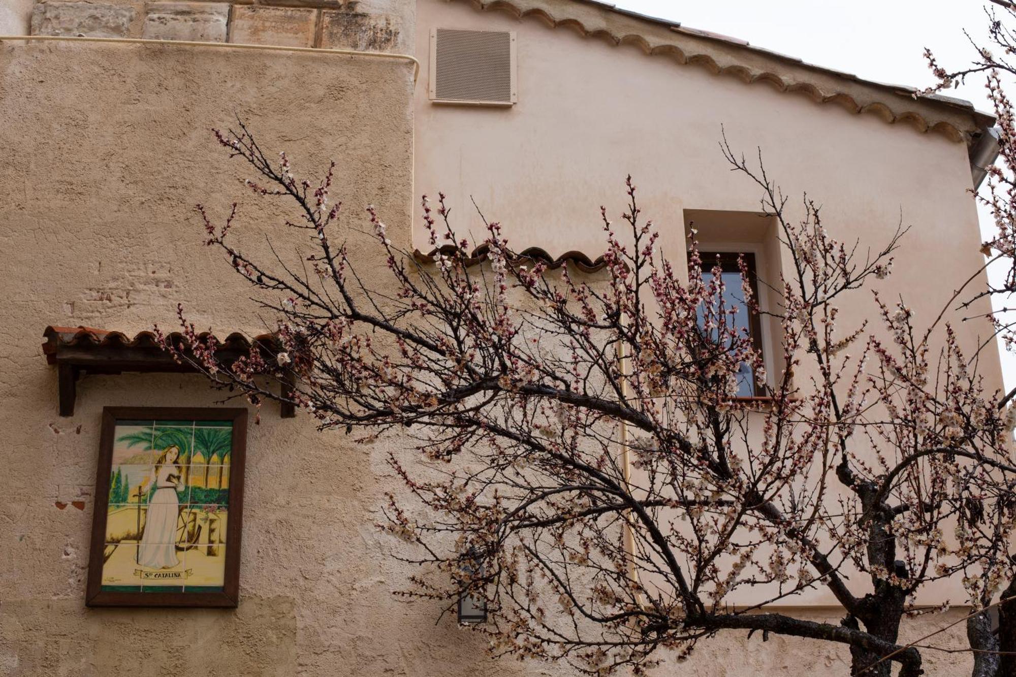 Huerto De Mateo Arana Villa Cuenca  Exterior foto
